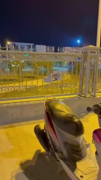 ماكس منغولي • حله بكرلي • للبيع