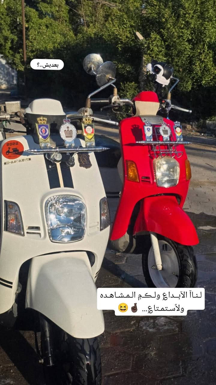 يالله شباب بوليس لون احمر للبيع شرد كفاله من الويل للويل مصاره هواي من طالعه رمبه دراجه رزنه شلعه ومعدل دراجه اذا طلع بيه برغي نقص تاخذه وتروح مكاني نجف حي الانصار


**إذا كنت صاحب هذا الإعلان وتريد حذفه لأي سبب، رجاءا أرسل رسالة إلى الدعم الفني**