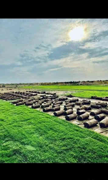 في بداية الموسم الجديد نعلن لكم بيع الثيل الهندي #درجة اولى خضار ١٠٠./. يتحمل جميع الظروف المناخيه
ثيل طبيعي وخضار ولا اروع 💚

نوعية ممتازة ودرجه اولى ⁦1️⃣⁩
ودائم الخضره 

ثيل #هندي  #امريكي   #ايطالي #انكليزي

اسعارنا الانسب وتوصيلنا الاسرع  لكافة محافظات العراق
لمعرفة المزيد راسل الصفحه او اتصل ***********/
*********** متوفر واتساب
