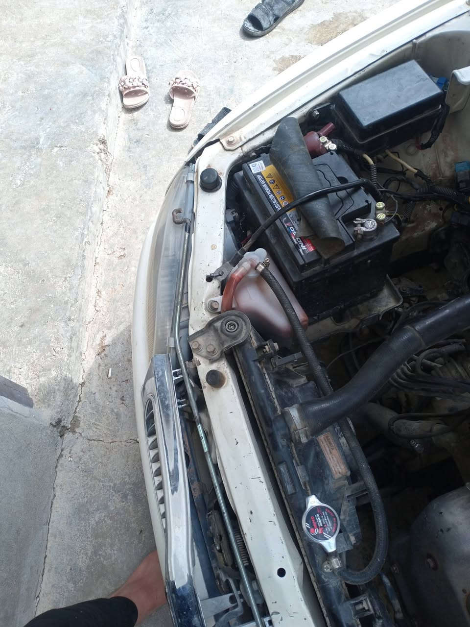 السلام عليكم اخواني الاعزاء بروتون 2004للبيع رقم كركوك الاماني شرط التحويل غرمات صفر سنويه الى 29معجون مابيها شرط الفحص مكينه خير اوبركه شرط الفحص تبريد تدفئه خير اوبركه صدر جديد مابيه عيب كاعيه جلد أصلي كشان تغليف جديد كيجات جديد باتري جديد قبل شهر شاده  كير خير اوبركه شرط الفحص كهربائية مابيها نقص أبد سياره مانقصها شي السعر 50قفل


**إذا كنت صاحب هذا الإعلان وتريد حذفه لأي سبب، رجاءا أرسل رسالة إلى الدعم الفني**