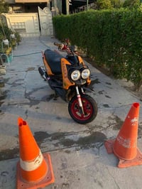 سلام وعليكم سكنس جبلي للبيع استفسار عل رقم ٠٧٧٣٣٤٨٠٦٣٣