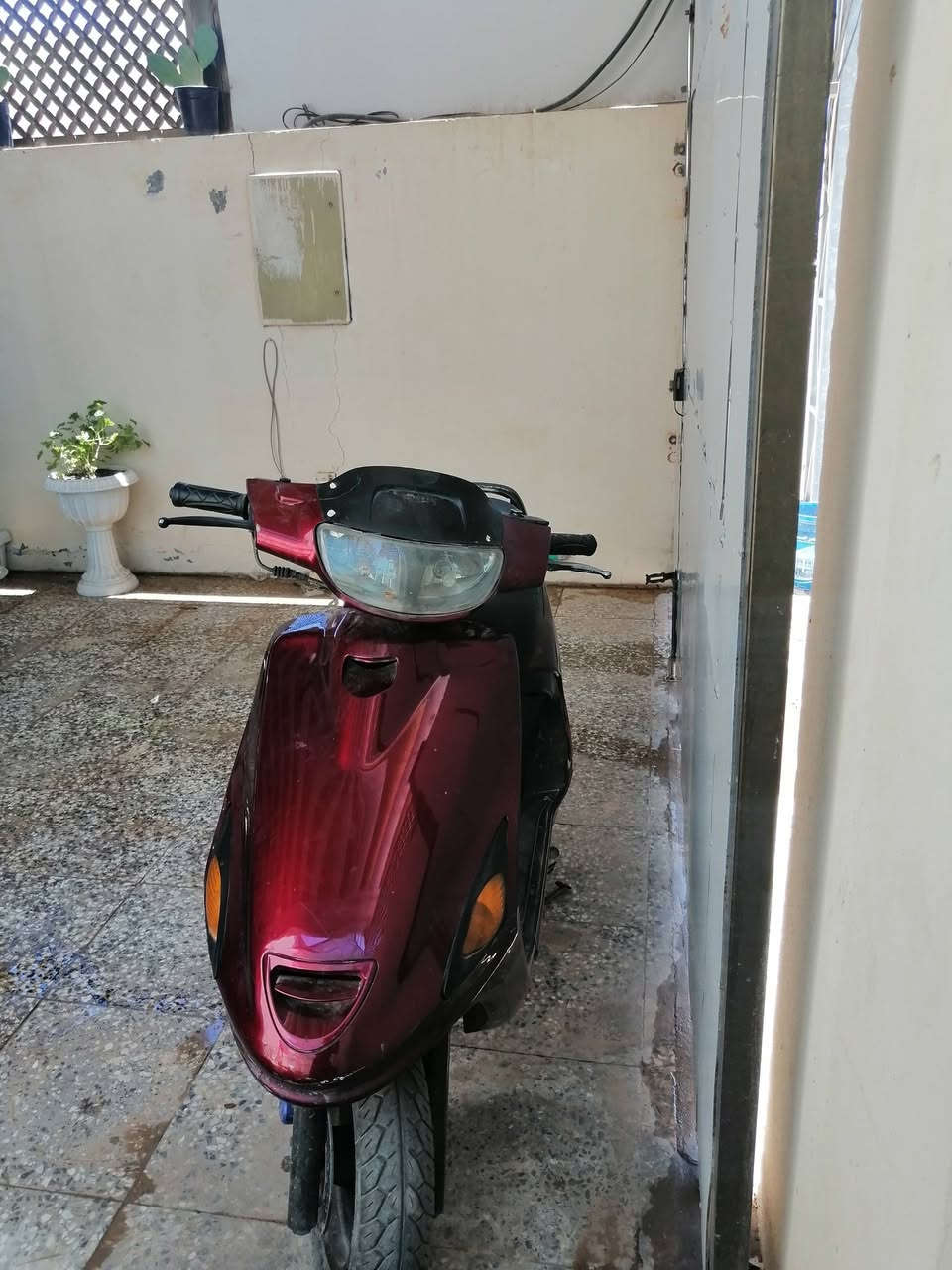 السلام عليكم 
دراجة فراشة موجودة في مجمع ابو تراب في النجف الاشرف ما اذكر مواصفاتها اليحب يشري يجي يگلبها او الاتصال ادناه على الرقم لمعرفة السعر. 
***********
