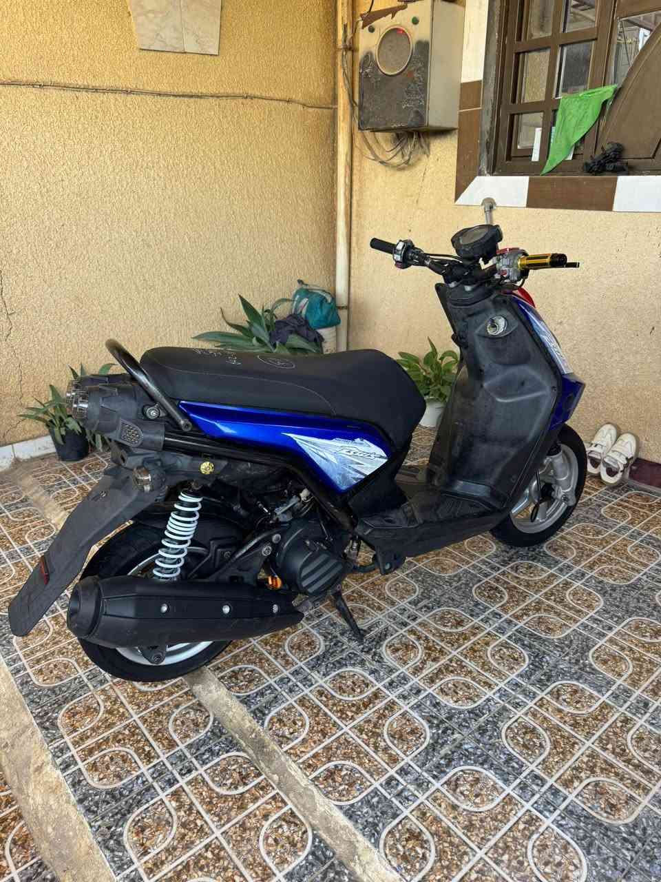 سكنس حبلي للبيع او مراوس السعر ٩٠٠وبيهة مجال ***********
