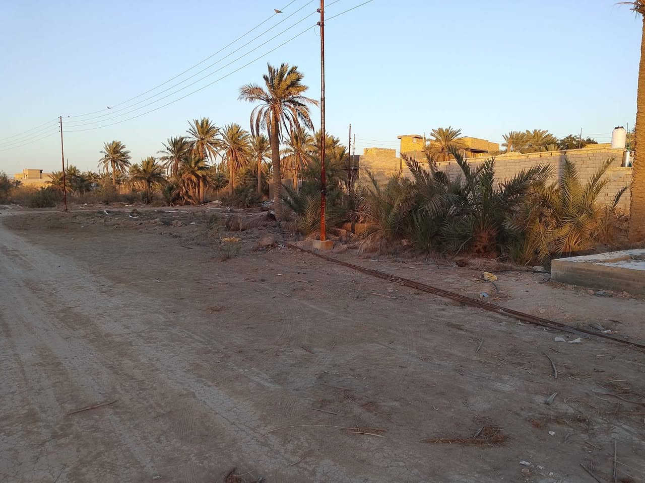 قطع للبيع زراعي مساحه ٢٠٠متر مكان سديناويه  قريبات للدله شارع النازل على القطع ١٥ وشارع القطع ١٠متر كل الخدمات موجوده للتواصل او الاستفسار على الرقم ***********
