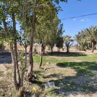 دوانم مع دار سكن في اليوسفيه القصر ا للبيع تقطيع حسب الطلب سند ٢٥ مستق...