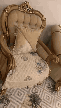 تخم للبيع مكلف بل نشر هاتف ***********
