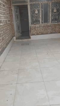 بيت للاجار المساحه 200 طابق واحد
اجاره// 350 قفل// ***********
