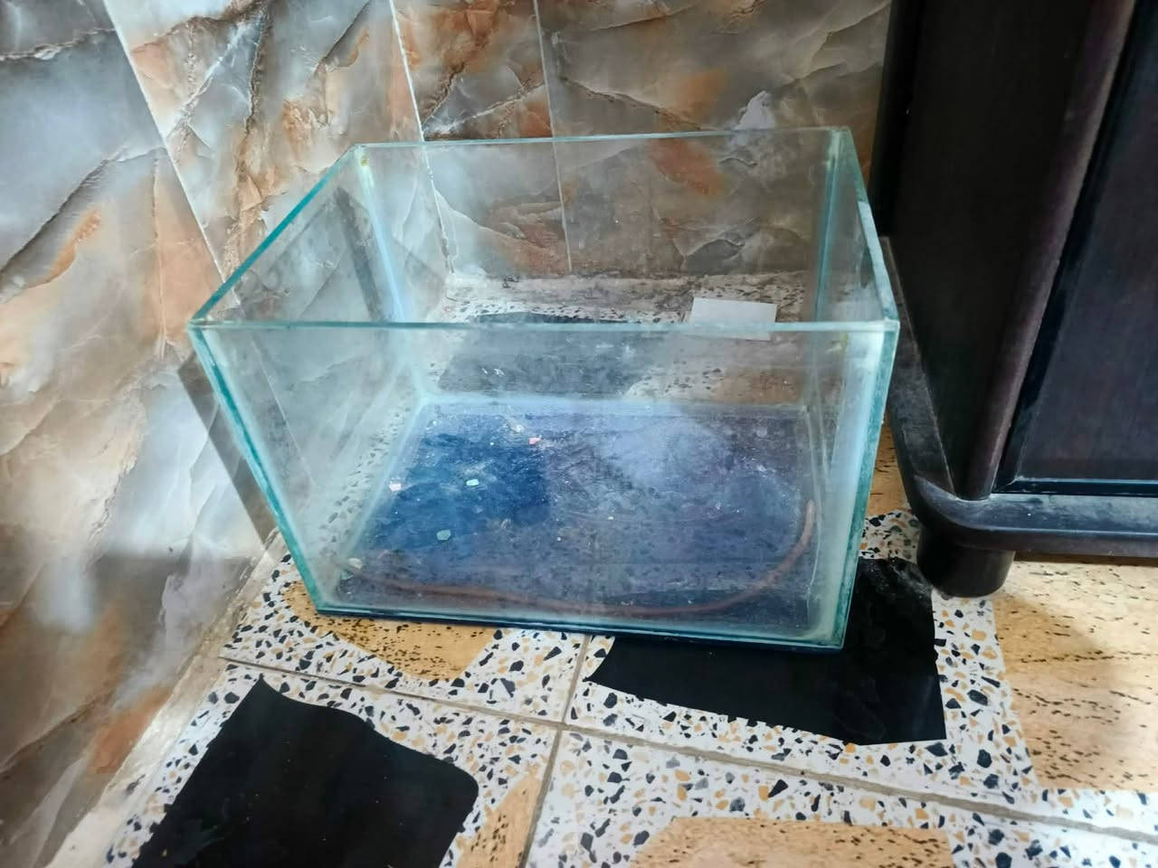 هذني الغراض كلهن ويه الحوض حتياط
الحوض والغراض والبل حوض كلهن اوحوض ثاني زغير هم وياه ماطورات ثنين اوكسجين والباقيات طبعن ذني الغراض من عده الموجودات بل حوض اوحوض ثاني زغير هم وياه     للبيع كلهن الحوض كامري ايطالي مو صيني وياه غراض كلش هوايه والسمك 3 قرش كبار  مع كافة ملحقاته للبيع السعر 200 مكان كربلاء


**إذا كنت صاحب هذا الإعلان وتريد حذفه لأي سبب، رجاءا أرسل رسالة إلى الدعم الفني**