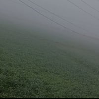 الصقلاويه • جت • ضمان