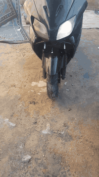 السلام عليكم 
فورزة 0,6 شوفت عينك  السعر 500 وبيها مجال للشراي  أو مراوس  بغداد الحبيبية  ***********
