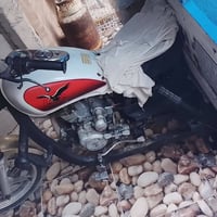 ستوته • ٢٠١٠ • سنويه