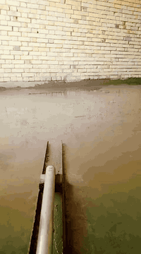 شغلنة • صبغ • درجة أولى