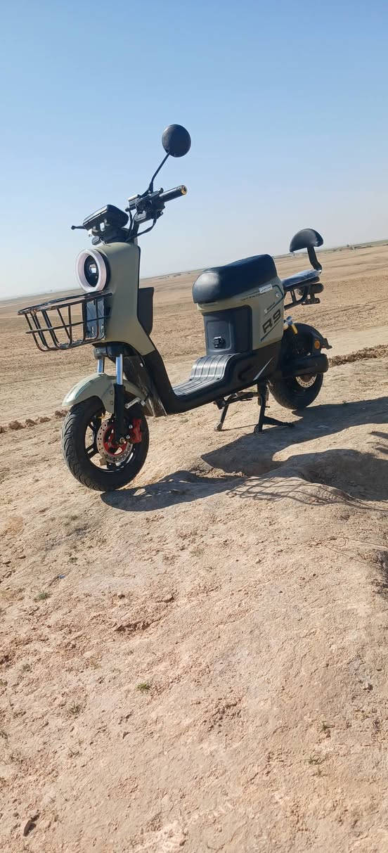 السلام عليكم دراجه شحن نوع R9 موديل ٢٠٢٦ نظيفه مستعمله شهر دسكات أمامي خلفي لايت عالي ناصي متغير الوان بصمه عدد ٢ سويج تشغيل عن بعد سعر ٥٥٠الف بيه مجال مكان قرية الأجمسه 
***********
