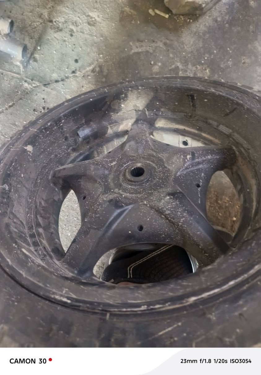 ويل عريض سكنس فحل نثيه ولد
السعر 100 قفل قفل 
اتصال *********** ابو دشير
