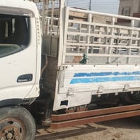 داينه • أوراق منتهية • البصره الهارثه