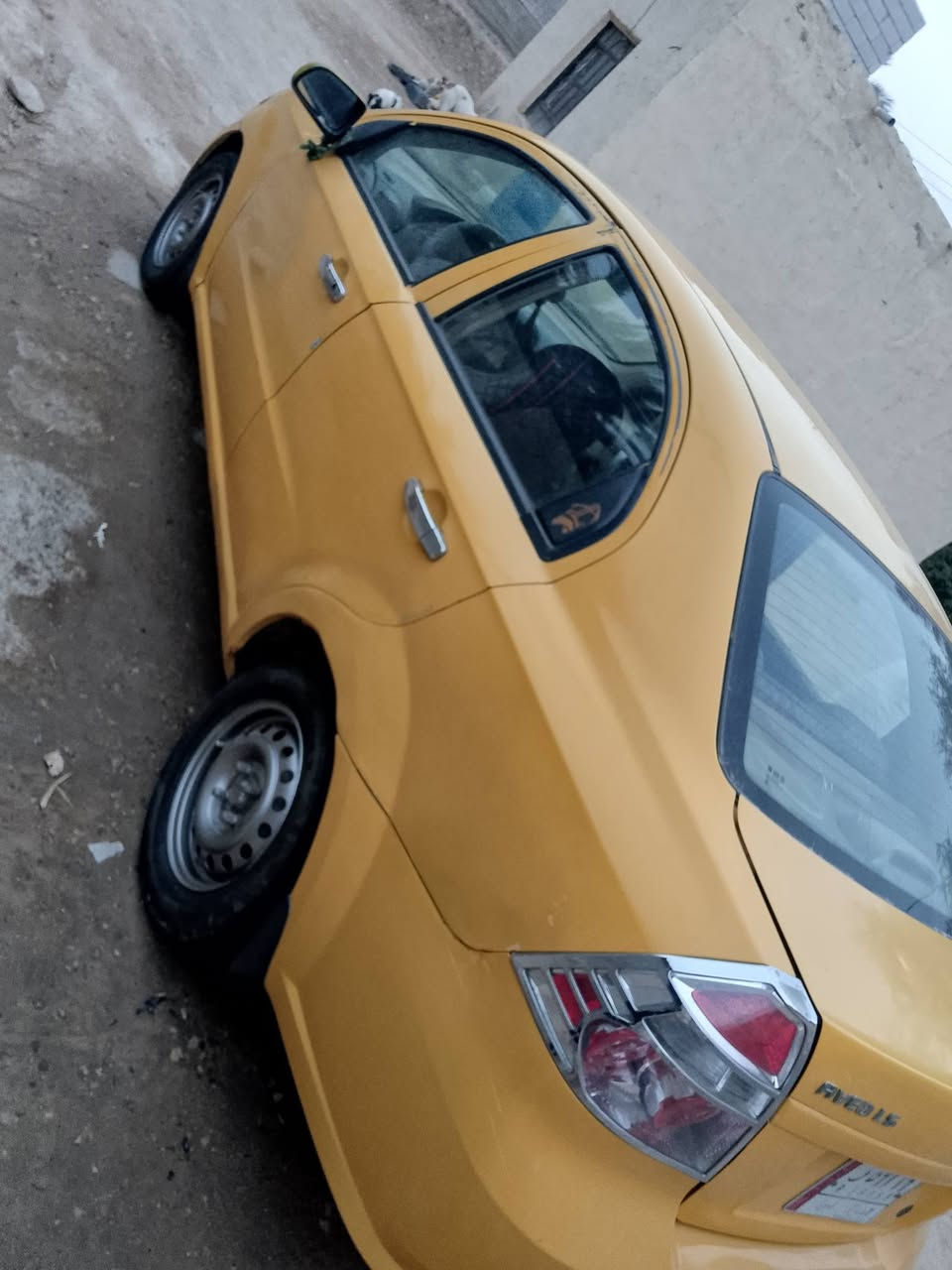 افيو موديل 11 رقم بصره مشروع وطني سنوية ال 28 كير ومكينه كفاله
تبريد ثلج مداور اي محافظه سعر 55 وبيه مجال ***********
