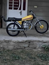 حفرية تاج الدين • بدون أوراق • محرك نضيف