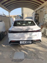 سيل 06 • ٢٠٢٤ • رقم سليمانية