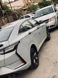 دونك فينك شاين • ٢٠٢٤ • حي اور الشعب