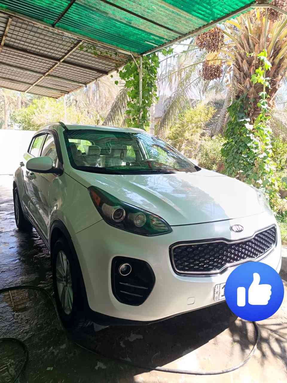 السلام عليكم
كيا سبورتج موديل ٢٠١٨ وارد كندي رقم بغداد دولي الجديد بيها بابين تبديل فقط ماشيه ٦٠ الف كيلو فور ويل مامفتوح بيها برغي .. عدا الأبواب.. مواصفاتها تحكم تدفئة بالكشنات محرك ٢٤٠٠ جي دي اي.. سياره نظيفه جدا واستخدام شخصي .

هزة جديدة

سنويه جديده

بأسمي شخصيا

السعر ١٥٥ ..

االعنوان بابل... حلة وردية خارج
مبايل ***********
