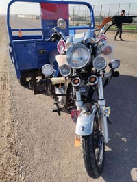 ستوته • فحل • ٢٠٢٣