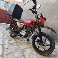 بوكسر 21 • مرقمة وسنوية • لايت زينون