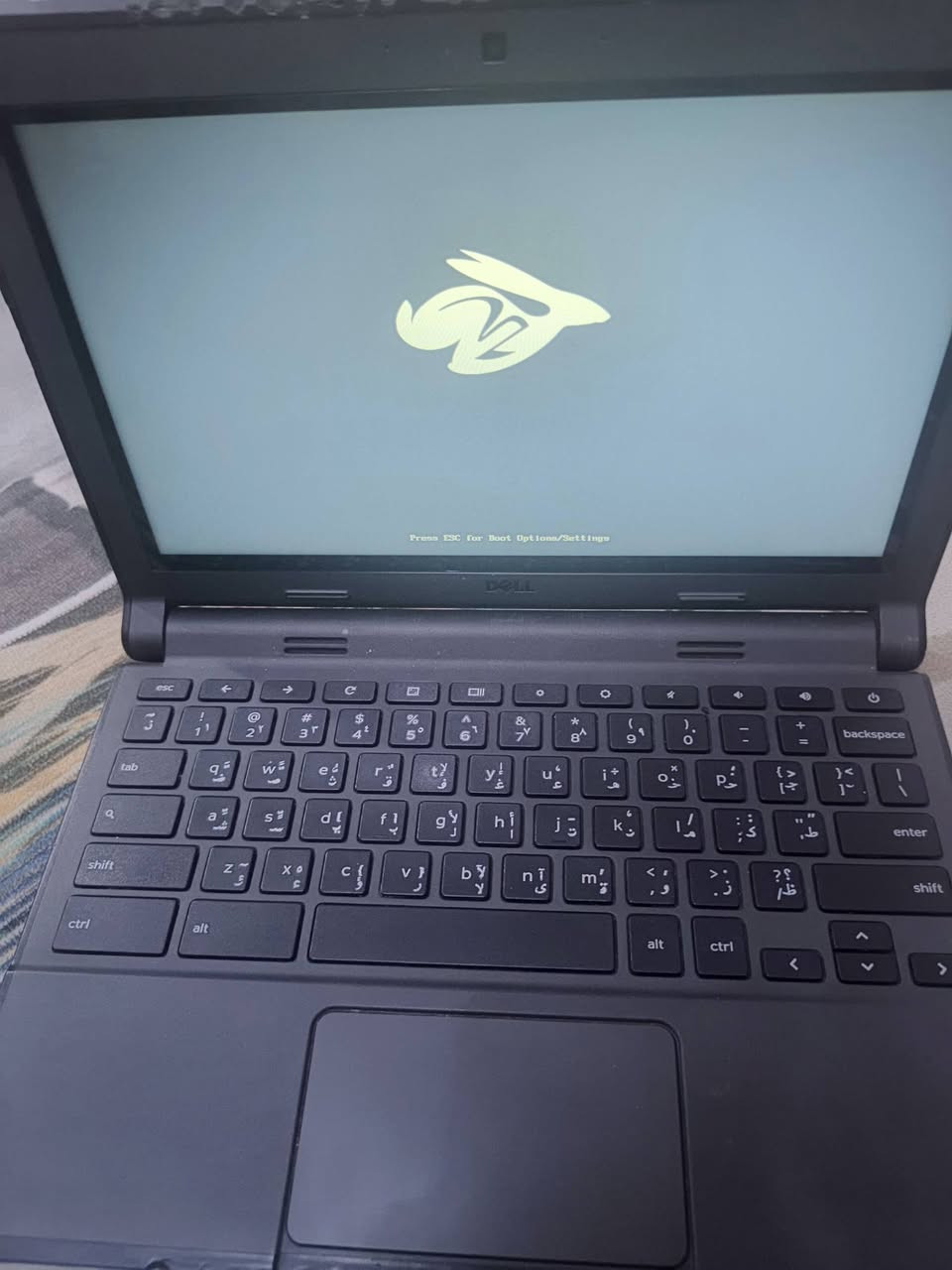 للبيع هوه ويا شاحنه سعره 75نضيف ***********ناصريه مركز
