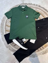 سيتات • شكاگية • لانجري