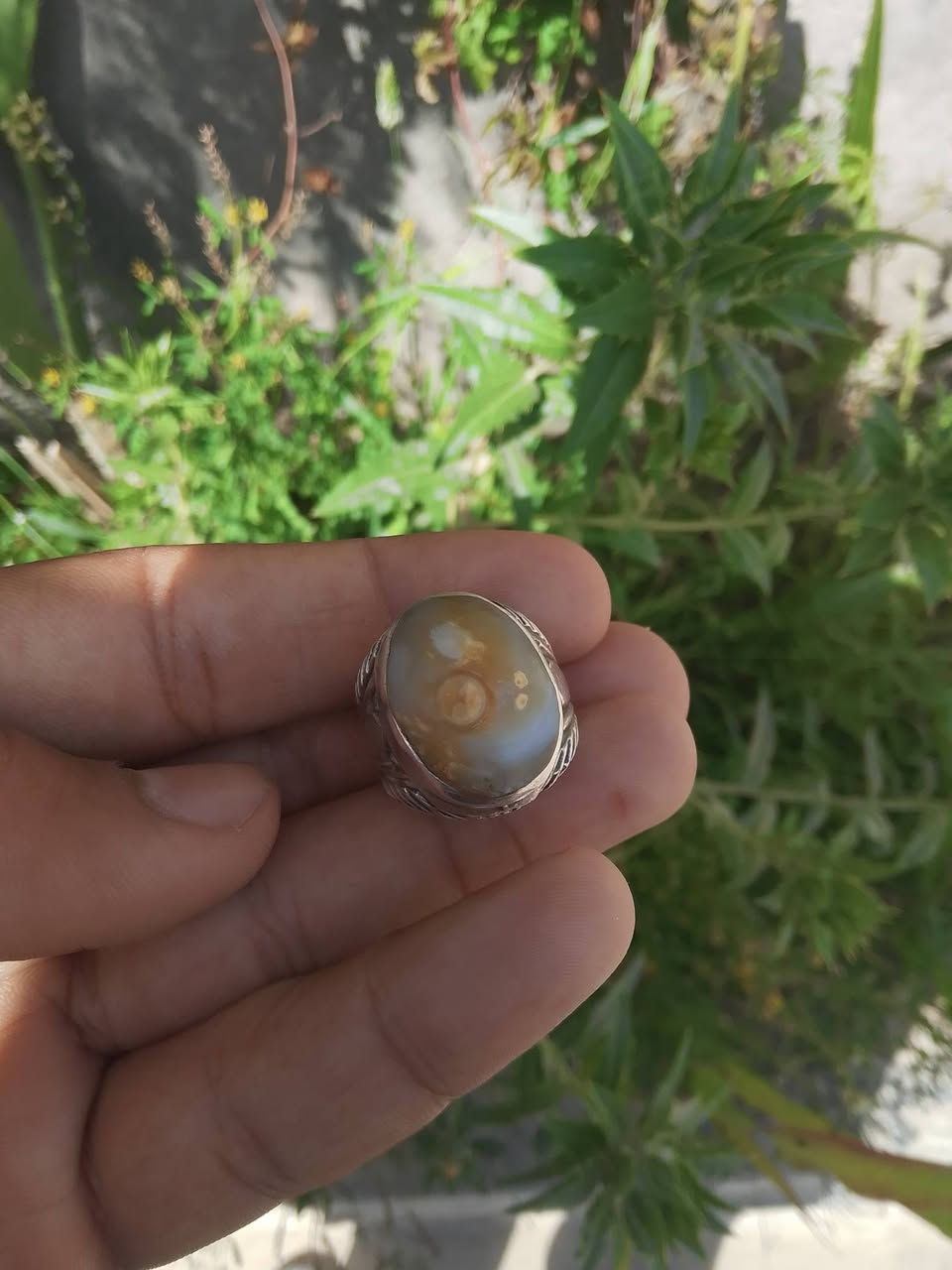 سليمانية قديمة للبيع ب٦٠  الشراي خاص ويدلل


**إذا كنت صاحب هذا الإعلان وتريد حذفه لأي سبب، رجاءا أرسل رسالة إلى الدعم الفني**