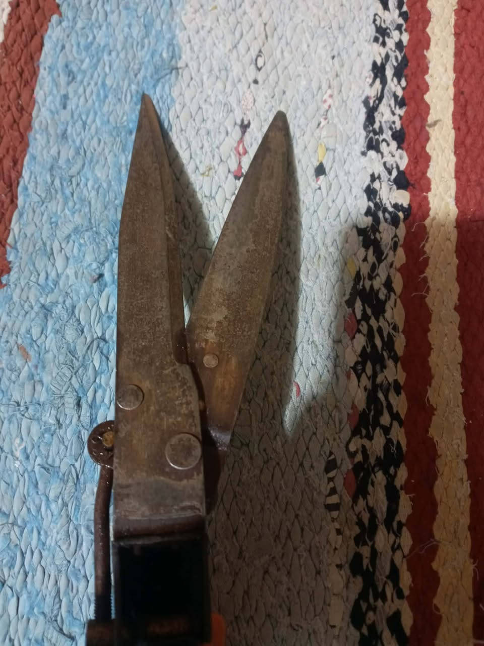 مقص اشجار ياباني للبيع 20 الف


**إذا كنت صاحب هذا الإعلان وتريد حذفه لأي سبب، رجاءا أرسل رسالة إلى الدعم الفني**