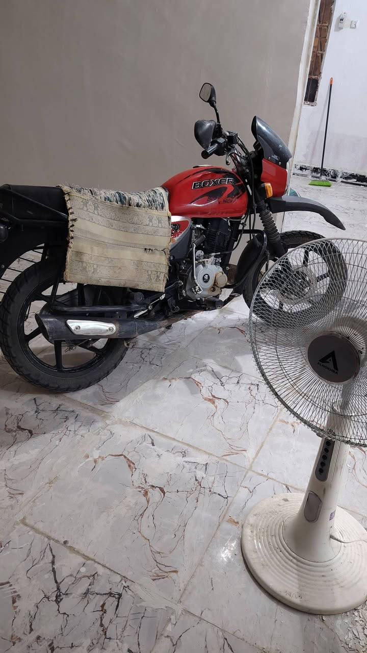 السلام عليكم شباب وين ليدور كفاله هاي  كدامك 
بوكسر جبلي مديل ٢٣ماشيه   شركه الهندي الاصلي. مكينه سبانه مامدود عليهه كفاله عامه أوراق اصوليه بوجهك الترقيم  كهربايات شغاله من لكل من الاخير دراجه مكفوله كفاله عامه جيب وياك الف فيتر
 #رقمي *********** بي واتساب أو مراسلتي ع الخاص . #السعر 1.650وبيها مجال
#مكان قلعه سكر #عكيل
