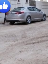 اوبتما • ٢٠١٢ • مصبوغة
