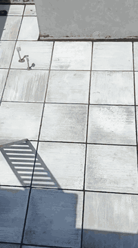 كادر مختص الشتايكر والتزفيت وستلام مهندس بسعار مناسب شغلنه تفحص ماي أقبل ستلام ***********
