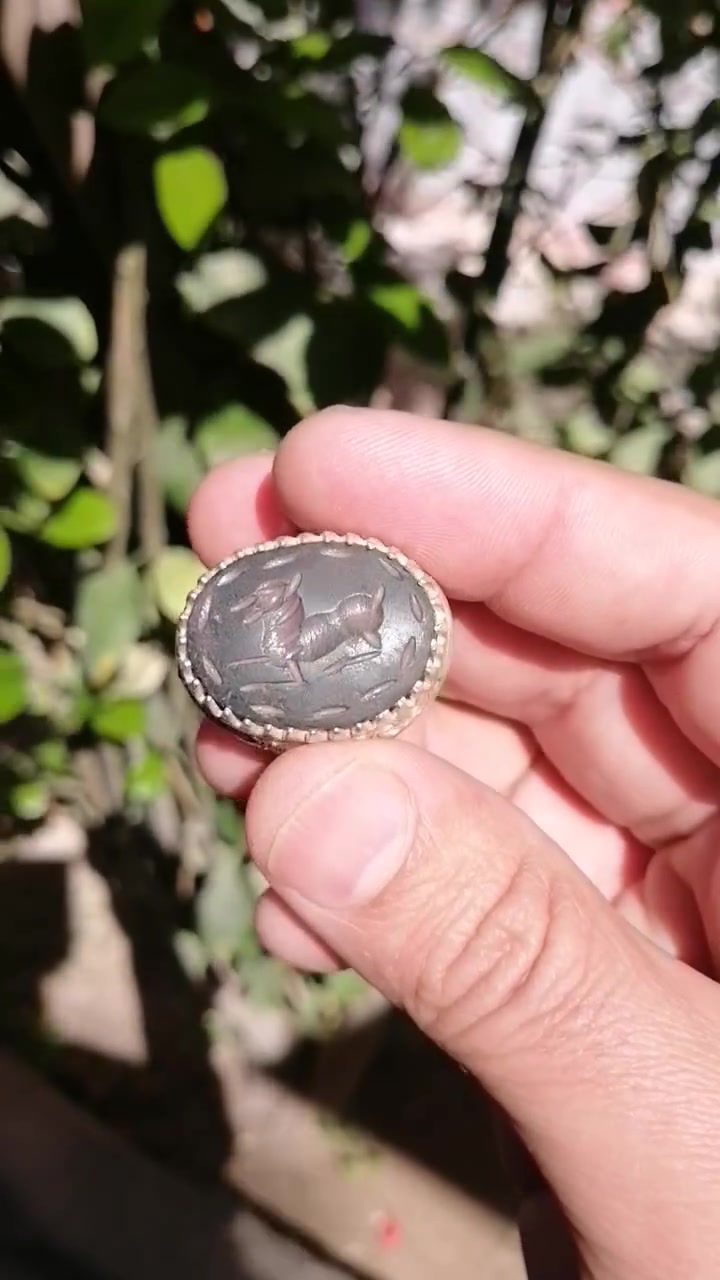 السلام عليكم اخوتي الطيبين


**إذا كنت صاحب هذا الإعلان وتريد حذفه لأي سبب، رجاءا أرسل رسالة إلى الدعم الفني**