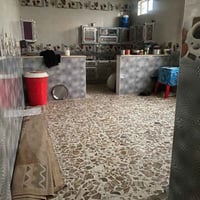 المهدي خلف الجسر • ١٢٥٠م • نقص تشطيب