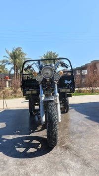 ستوته جمره ٢٠١٨ • سنوية لـ٢٠٢٨ • الكرمة