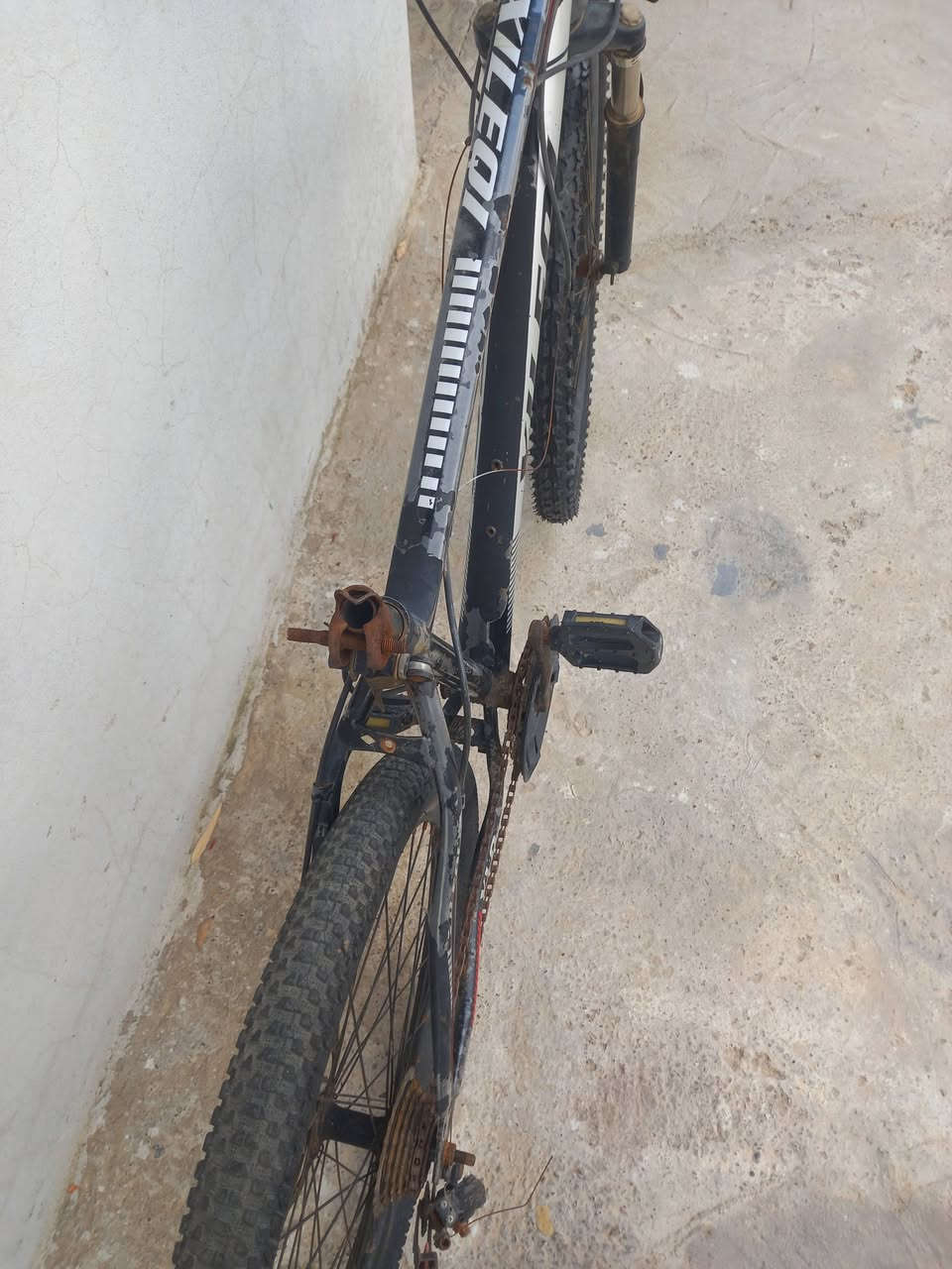 سلام عليكم عندي باسيكل جبلي حجم 26 ونمر7خلفي وامامي3 يرادله كشن وتصليح الكير والزنجيل والسعر 40وبي مجال قليل والاستفسار خاص العنوان موصل مجاور دجلة ستي مقابيل كلية النور طريق الشلالات


**إذا كنت صاحب هذا الإعلان وتريد حذفه لأي سبب، رجاءا أرسل رسالة إلى الدعم الفني**