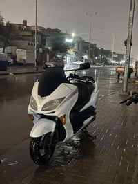 09 . بيع او مراوس 07816283061 للستفسار واتساب