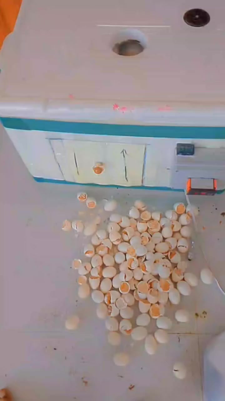 فقاسه للبيع نسبه تفقيس 90٪
سعر 85 الف بيها مجال تاخذ 275 بيضه تقليب يدوي شغله 100٪ اتصل ***********
