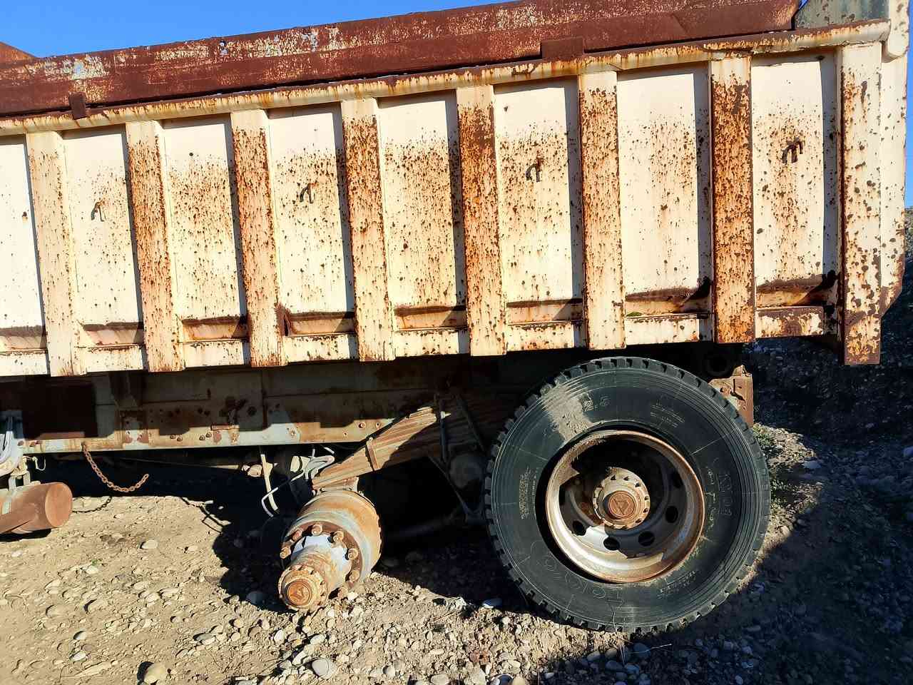 كلاب اسكانيا لبيع استفصار من هذا رقم ***********
