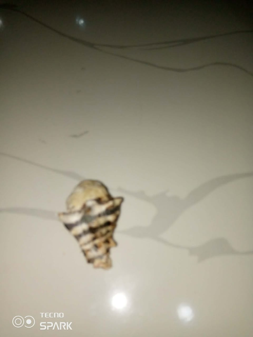 السلام عليكم للبيع  ***********
