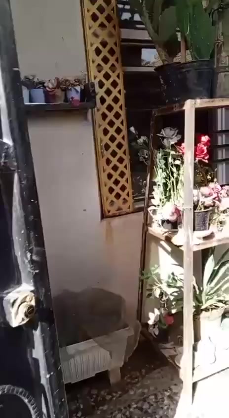 بيت للايجار طابقين
... 5غرف .. استقبال ومطبخ مع ....كاونتر وطباخ وخط مولد الحر الصغيرمساحه ( 100متر )
كل هذا ((400الف ))
تواصل وأتساب 
‏‪***********‬‏

@إشارة 
خدمات كامله
