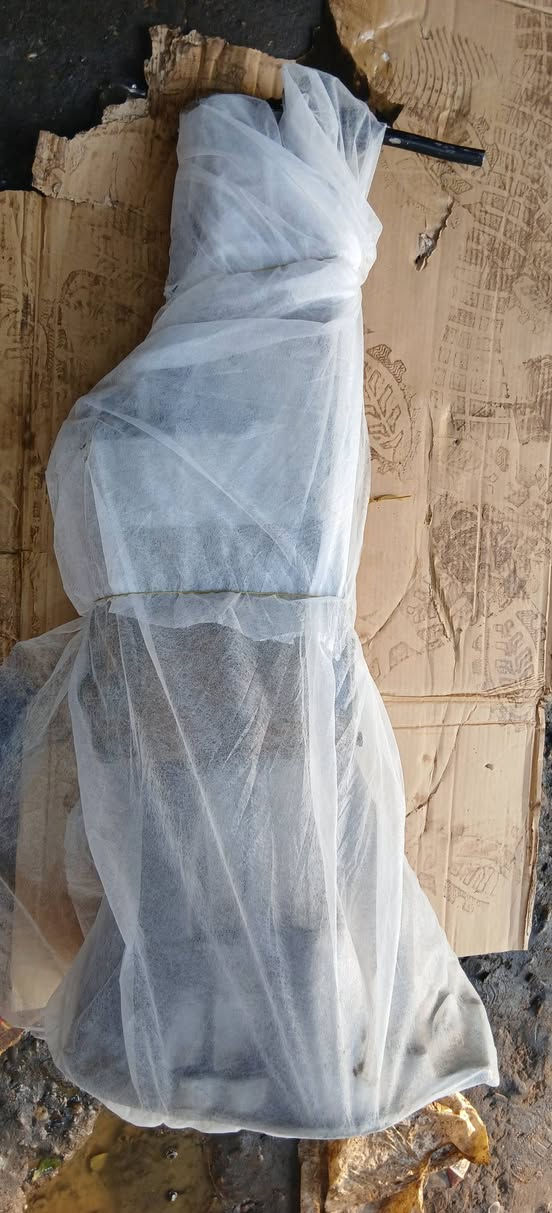 ياالله تعلن محلات حجي راضي عن وصول كميه كير بيجو روي  اي استفسار على الرقم ***********
