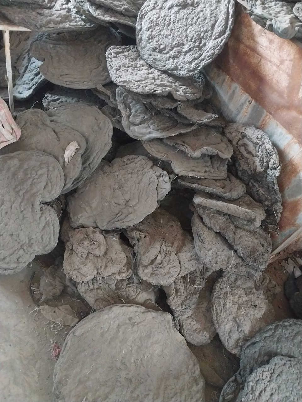 جدم كواني للبيع التواصل رقم الهاتف ***********

