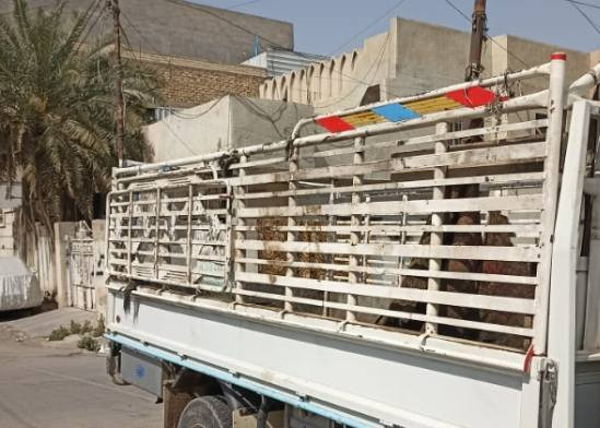 محجر مال جلال البيع مكان بغداد 
***********
