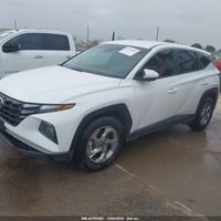 تو سان • ٢٠٢٤ • مزاد أمريكا