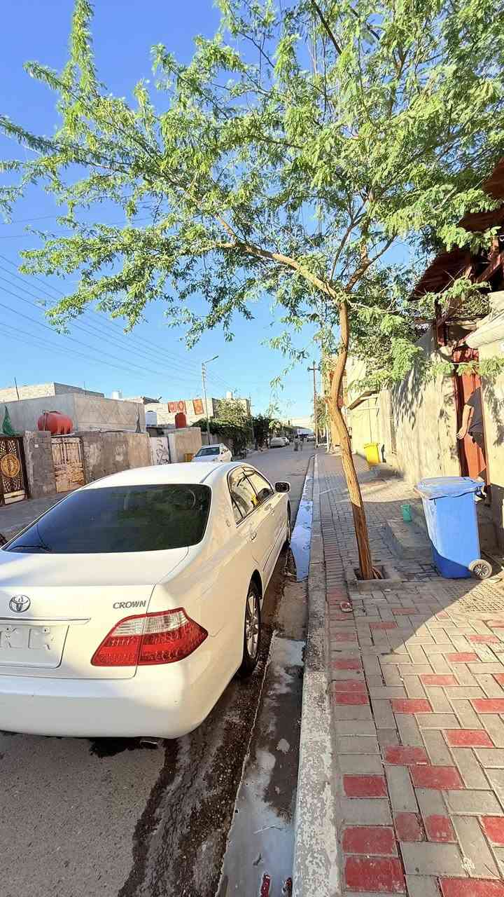 شاهينه للبيع ادوات ادوات ادوات كفاله عامه ٢دكم مكان بصره اتصال ***********
