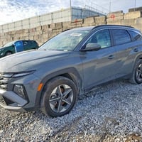 وبركاته #ملاحظة يوم السبت والاحد عطلة المزاد الرسمية 🟢 تاريخ المزاد //...