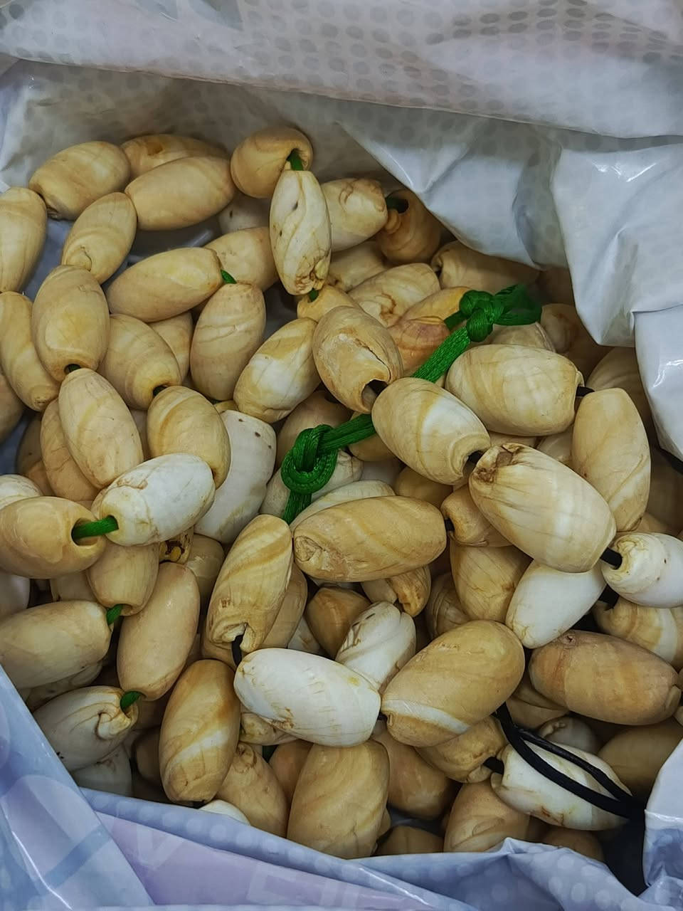 عطف بحري قديم العدد 167 قطعه شلع

تصال فقط ع سيم كارت 
***********
