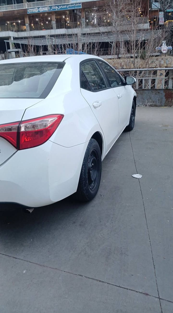 كورلا موديل 2017 ضررها بأمريكا فقط دعامية او بالعراق صار بيها صبغ جاملغ او باب السايق بدون دواخل رقم بغداد الدولي بسمي تحويل ثاني يوم كشنات او كاعية جلد تخم تاير باتري جديد سعرها 138بيها مجال  رقم الهاتف ‏‪0789 392 8211‬‏
